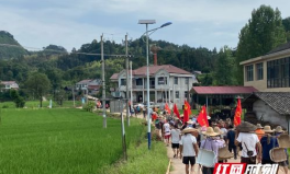 红网沅陵,聚焦沅陵发展，传递本土声音