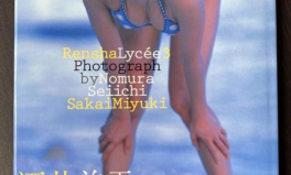 酒井慧写真,光影交织下的美丽瞬间
