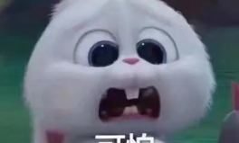 推特男网红吃瓜事件真相,真相背后竟是这样！”