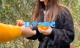 北大秘鲁小姐姐,北大秘鲁小姐姐的异国求学之旅
