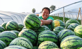 人民吃瓜网,揭秘娱乐圈幕后故事，带你领略明星真实生活