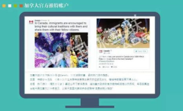 网红页12,揭秘网红背后的秘密与魅力